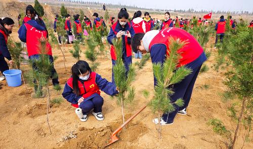 4.团员们为自己亲手种下的小树苗留影，记录这珍贵的一刻