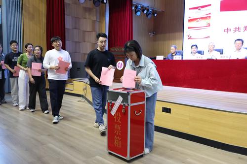 党员同志进行投票